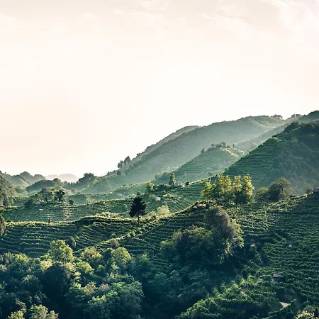 Han/Misafirhane Da Lino